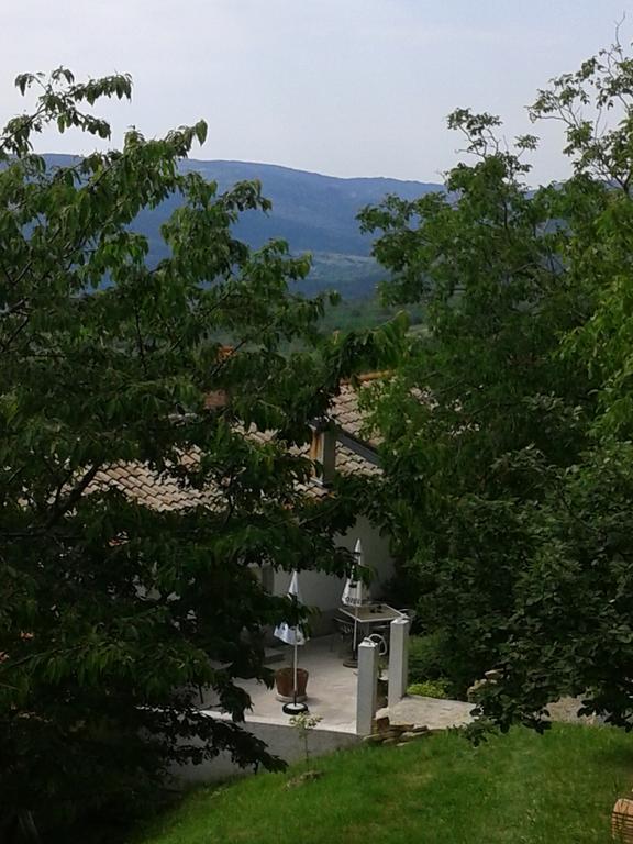 Apartment Bella Vista 2 Buzet Eksteriør billede
